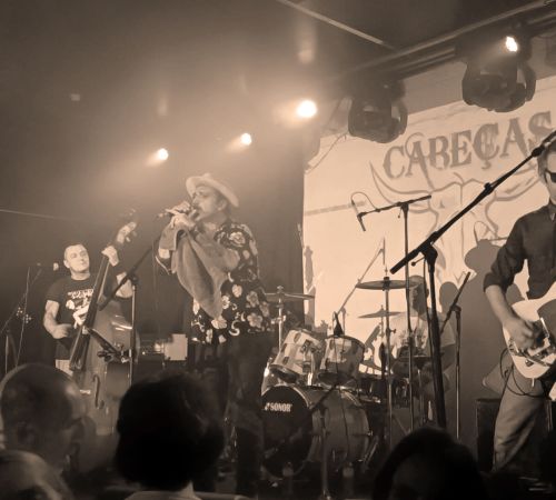 AINHHlxYVFOH-Cabecas-de-Gado