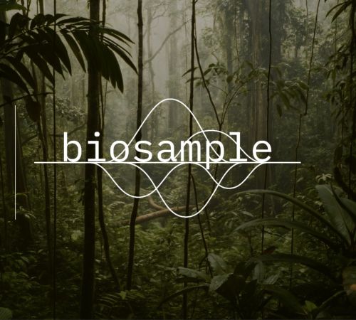 umaMAlf37cCy-BioSample